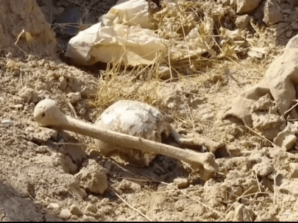In this Saturday, Nov. 11, 2017 frame grab from video, bones lie on the ground in an area recently retaken from the Islamic State group, at an abandoned base near the northern town of Hawija, Iraq. Kirkuk governor Rakan Saed said Sunday that the bodies of civilians and security forces …
