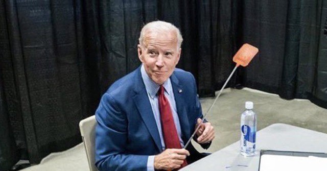 PETA Sends 'Humane Bug Catcher' to Biden After Release of ...