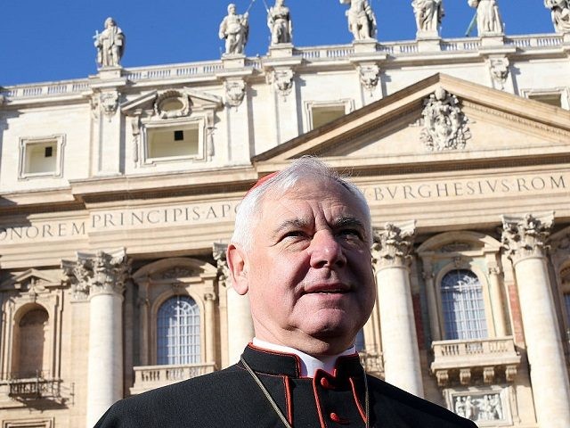 VATICAN CITY, VATICAN - NOVEMBER 19: German cardinal Gerhard Ludwig Muller attends Pope Francis' weekly audience in St. Peter's Square on November 19, 2014 in Vatican City, Vatican. During his speech Pontiff appealed for peace in the Middle East. (Photo by Franco Origlia/Getty Images)