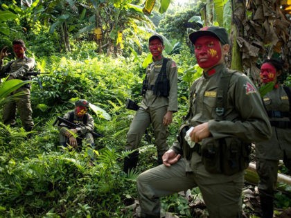 TOPSHOT - This photo taken on July 30, 2017 shows guerrillas of the New People's Army (NPA) resting among bushes in the Sierra Madre mountain range, located east of Manila. - Fuelled by one of the world's starkest rich-poor divides, a Maoist rebellion that began months before the first human …