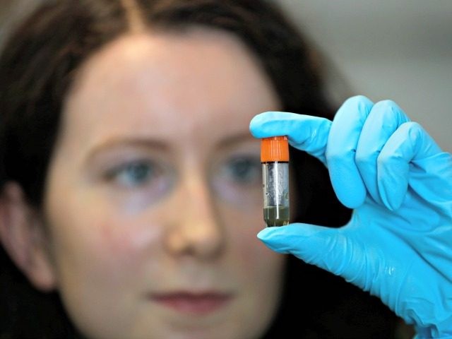 Jess O'Hara a research technician handles a sample from a volunteer whilst testing antibodies to see if they bind to the virus, in the laboratory at Imperial College in London, Thursday, July 30, 2020. Imperial College is working on the development of a COVID-19 vaccine. Scientists at Imperial College London …