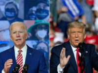 Harvard Poll: Trump Would Beat Biden if Election Held Today