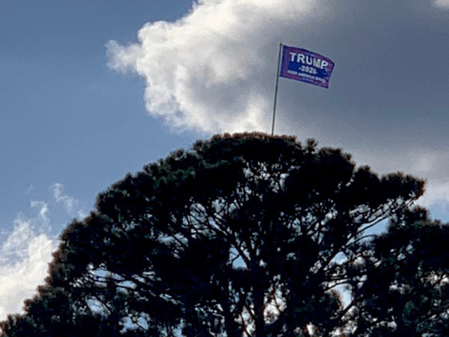 Trump Thanks 'Anonymous Tree Climber' for Placing Trump Flags in Trees