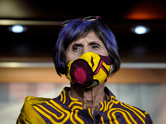 U.S. Rep. Rosa DeLauro (D-CT) attends a news conference about the Child Care Is Essential Act and the Child Care For Economic Recovery Act at the U.S. Capitol on July 29, 2020 in Washington, DC. The House is scheduled to vote later Wednesday afternoon on the two bills aimed at …