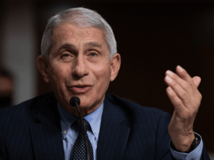 Director of the National Institute of Allergy and Infectious Diseases, Anthony Fauci, test