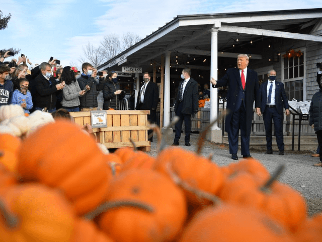 US President Donald Trump(C) looks at pumpkins as he meets with people at Treworgy Orchards during a campaign stop in Levant, Maine on October 25, 2020.