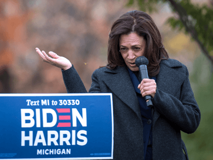 Democratic U.S. Vice Presidential nominee Sen. Kamala Harris (D-CA) reacts as a bee flies around her while she speaks at the Troy Community Center on October 25, 2020 in Troy, Michigan. Harris is traveling to multiple locations in the metro Detroit area to campaign for Democratic presidential nominee Joe Biden. …