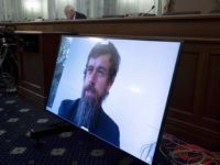 WATCH: Twitter, Facebook Admit No Evidence of ‘Russian Disinformation’ in Hunter Biden Story