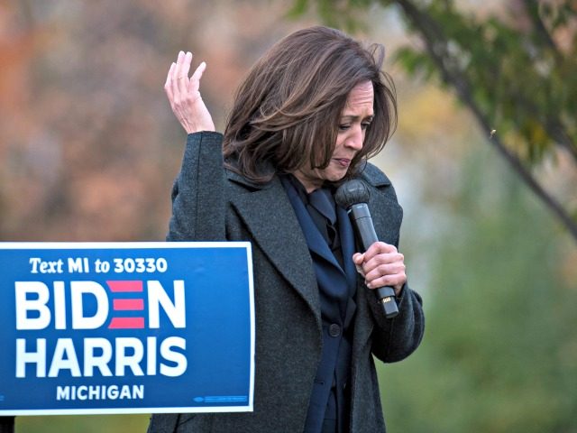 TROY, MI - OCTOBER 25: Democratic U.S. Vice Presidential nominee Sen. Kamala Harris (D-CA) reacts as a bee flies around her while she speaks at the Troy Community Center on October 25, 2020 in Troy, Michigan. Harris is traveling to multiple locations in the metro Detroit area to campaign for …