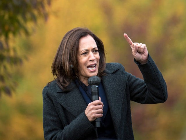 TROY, MI - OCTOBER 25: Democratic U.S. Vice Presidential nominee Sen. Kamala Harris (D-CA) speaks at the Troy Community Center on October 25, 2020 in Troy, Michigan. Harris is traveling to multiple locations in the metro Detroit area to campaign for Democratic presidential nominee Joe Biden. (Photo by Nic Antaya/Getty …