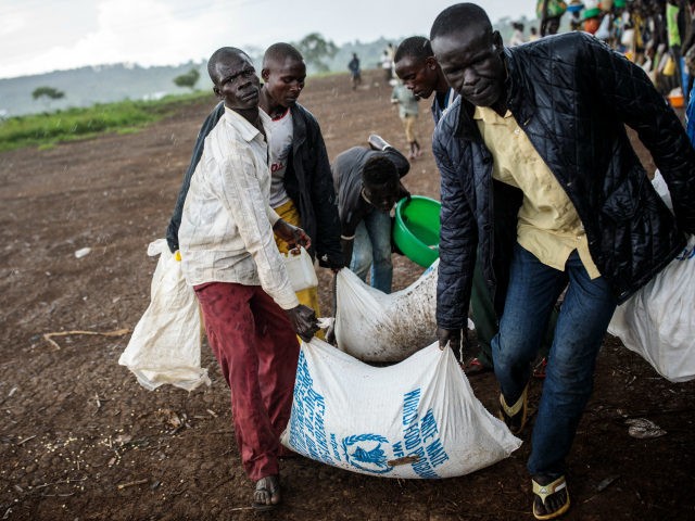 Refugees from the Democratic Republic of Congo carry their food collected from the World Food Programme as it rains in the Kyangwali settlement on April 10, 2018 in Kyangwali, Uganda. According to the UNHCR around 70,000 people have arrived in Uganda from the Democratic Republic of Congo since the beginning …