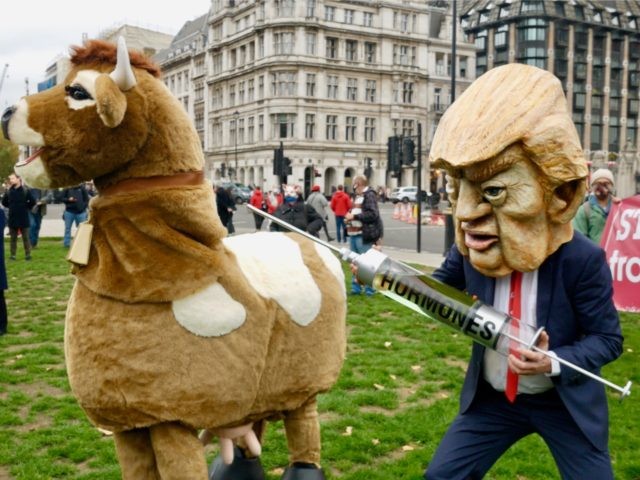 A mock Donald Trump threatens to inject a pantomime cow with growth hormones at the Stop T