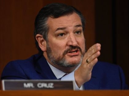 Ted Cruz (Andrew Caballero-Reynolds / Pool / AFP / Getty)