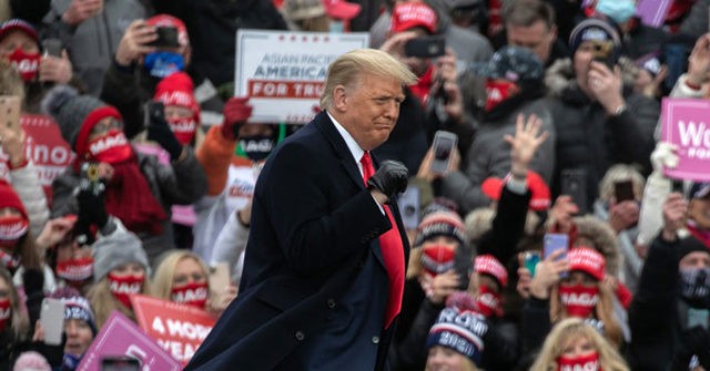 Trump: Biden ‘Twisted the Knife in the Back of Michigan Workers’