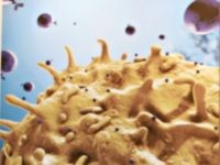 Fact Check: Left Falsely Claims Trump’s Coronavirus Treatments Developed Using Fetal Tissue