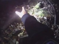 VIDEO: Ohio Police Rescue Woman Trapped in Sinking Minivan that Crashed into River