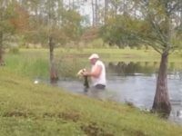VIDEO: Man Saves Puppy from Alligator