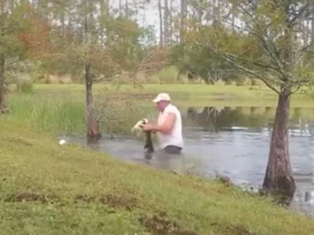 VIDEO: Man Saves Puppy from Alligator