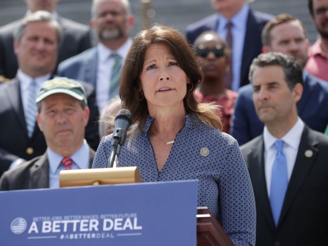 WASHINGTON, DC - MAY 21: Rep. Cheri Bustos (D-IL) joins a group of fellow Democrats and their supporters to introduce a new campaign to retake Congress during a news conference at the U.S. Capitol May 21, 2018 in Washington, DC. The campaign, called 'A Better Deal for Our Democracy,' aims …
