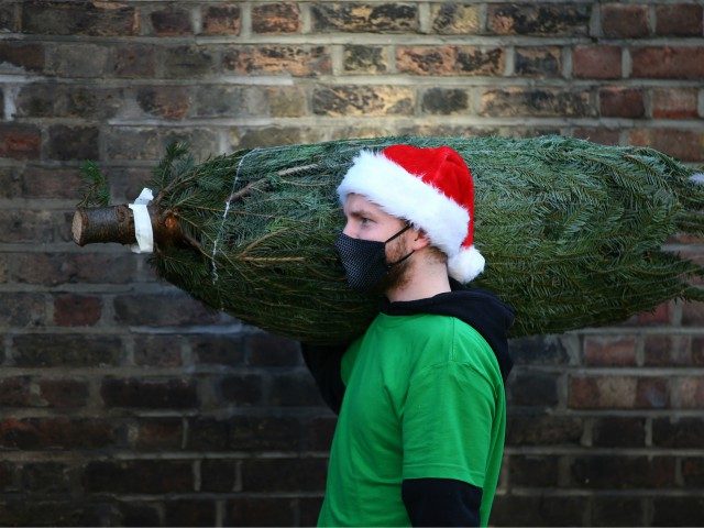 LONDON, ENGLAND - NOVEMBER 22: Freelance music producer Will Stokes, 27, delivers a Christmas tree to a flat in Isle of Dogs on November 22, 2020 in London, England. Green Elf Trees, founded by Matt Bouloux, 32, employs musicians and entertainers left out of work by pandemic-related lockdowns. When a …