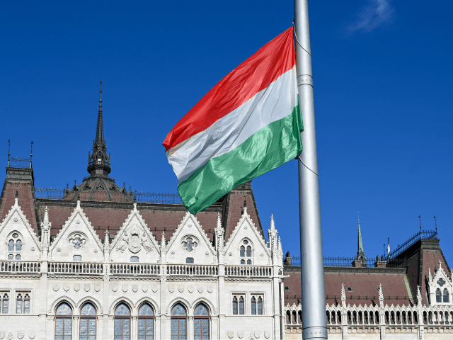 A national flag flutters in front of the parliament during a ceremony marking the national