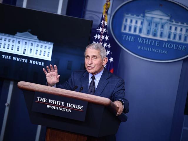 Director of the National Institute of Allergy and Infectious Diseases Anthony Fauci speaks during a White House Coronavirus Task Force press briefing in the James S. Brady Briefing Room of the White House on November 19, 2020. (Photo by Brendan Smialowski / AFP) (Photo by BRENDAN SMIALOWSKI/AFP via Getty Images)