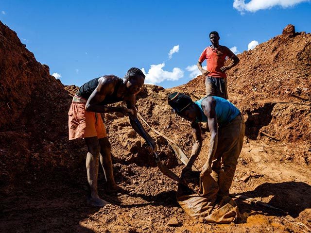 Miners fill bags with ore at Manzou Farm, owned by Grace Mugabe, wife of former Zimbabwean