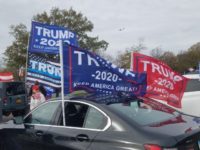 Watch: New Yorkers Rally for Trump in Huge Caravans Across Deep Blue State