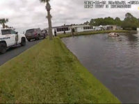 VIDEO: Drug Dealer Suspect with Children in Car Drives into Pond; Good Samaritans Save Them