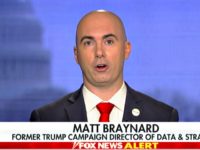 GOP Expert Describes Plan to Reveal Ballot Fraud