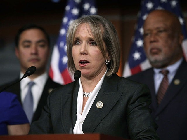 WASHINGTON, DC - FEBRUARY 16: U.S. Rep. Michelle Lujan Grisham (D-NM) (C) speaks during a news conference February 16, 2017 on Capitol Hill in Washington, DC. House Democrats held a news conference to express their frustration after their meeting with ICE Acting Director Thomas Homan on the recent ICE raids. …