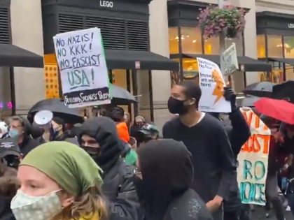 NY Protesters Twitter Video Screenshot)