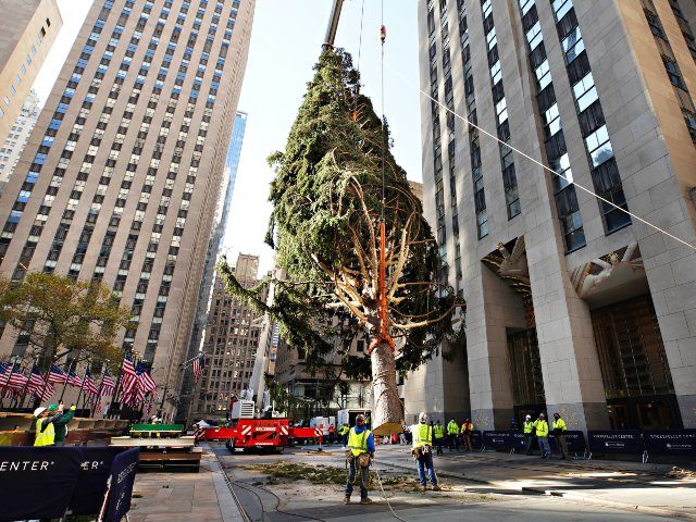 Columbia Prof: Rockefeller Christmas Tree Should be Canceled for the 'Toxic Relationship' of ...