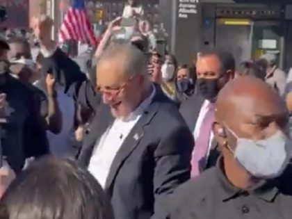 Chuck Schumer during 11/7/2020 New York celebrations