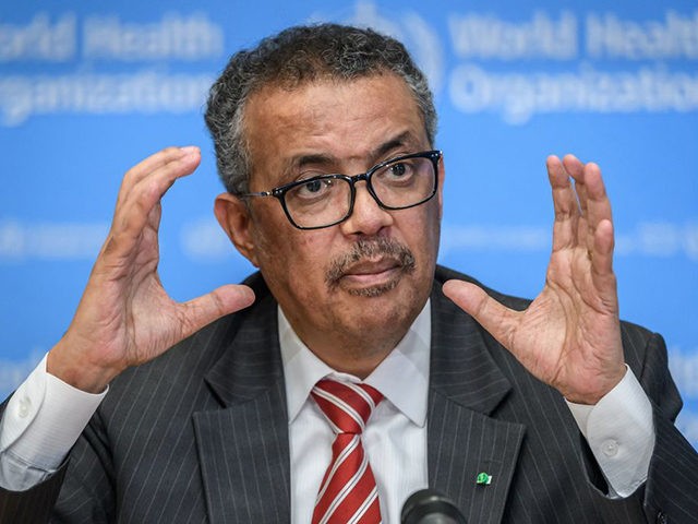 EDITORS NOTE: Graphic content / World Health Organization (WHO) Director-General Tedros Adhanom Ghebreyesus talks during a daily press briefing on COVID-19 virus at the WHO headquaters in Geneva on March 11, 2020. - WHO Director-General Tedros Adhanom Ghebreyesus announced on March 11, 2020 that the new coronavirus outbreak can now …