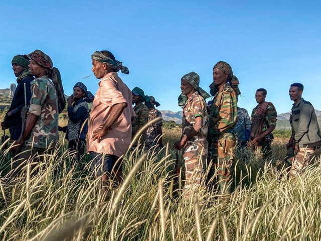 TOPSHOT - Amhara militia men, that combat alongside federal and regional forces against northern region of Tigray, receive training in the outskirts of the village of Addis Zemen, north of Bahir Dar, Ethiopia, on November 10, 2020. (Photo by EDUARDO SOTERAS / AFP) (Photo by EDUARDO SOTERAS/AFP via Getty Images)