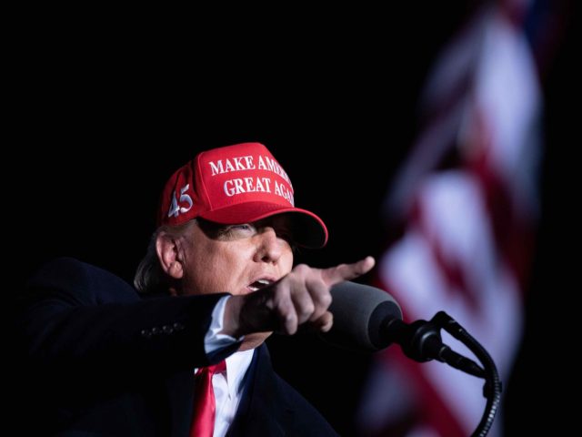 Trump in Georgia (Brendan Smialowski / AFP / Getty)