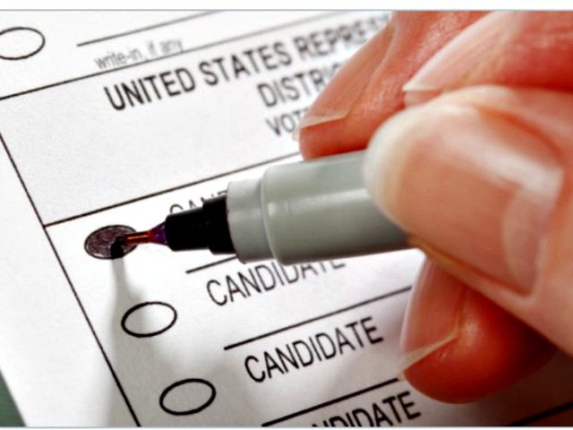 Voting with Sharpie Pen