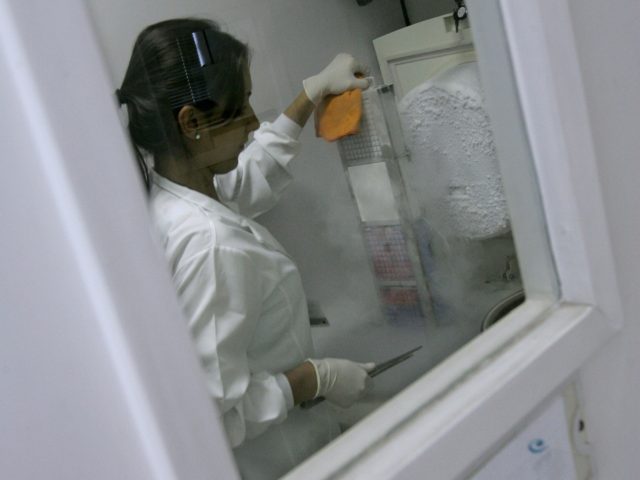 A scientific researcher handles frozen embryonic stem cells in a laboratory, at the Unives