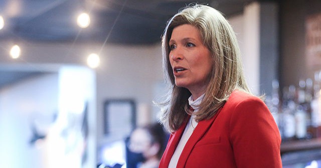 Exclusive: Joni Ernst Pushes Bill to Take Guns, Ammo, Away from IRS
