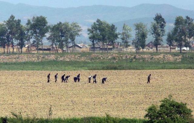North Korea border shutdown raises food security concerns at U.N.