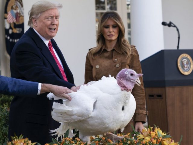 Watch live: Trump pardons National Thanksgiving Turkey