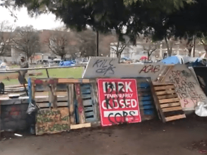 Autonomous zone set up in Seattle's Cal Anderson Park. (Twitter Video Screenshot/Jonathan Choe)