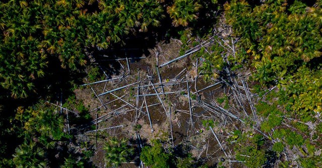 Government Report: Amazon Deforestation in Brazil Skyrockets Under Lula