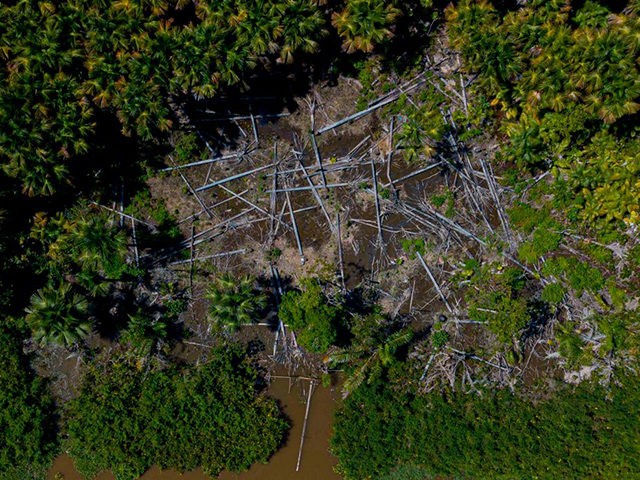 Aerial view of a deforested area in the municipality of Melgaco, Para State, Brazil, on Ju