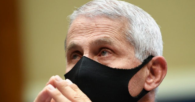 Fauci: Americans May Need to Wear Masks into 2022