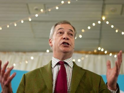 HULL, UNITED KINGDOM - NOVEMBER 14: Brexit Party leader Nigel Farage speaks during a Brexi