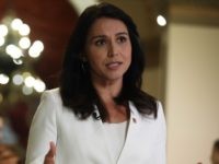Tulsi Gabbard Questions Kamala Harris 'Hypocrisy' on Brittney Griner