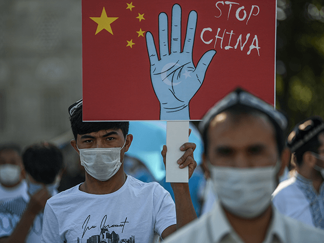 Supporters of China's Muslim Uighur minority wave flags of East Turkestan and hold placard