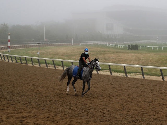 ELMONT, NEW YORK - JUNE 18: A Racehorse and Exercise Rider trains in the fog on the main track during morning workouts prior to the 152nd running of the Belmont Stakes at Belmont Park on June 18, 2020 in Elmont, New York. (Photo by Al Bello/Getty Images)